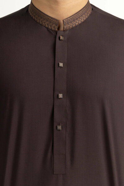 Regular Fit Embroidered Suits
