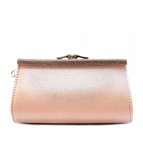 Women Clutch - 04893B