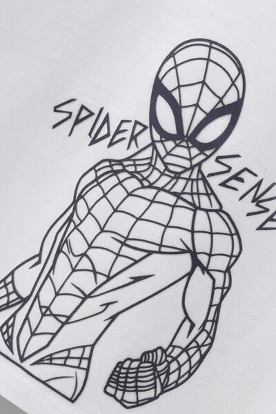 Spiderman Relaxed Tee