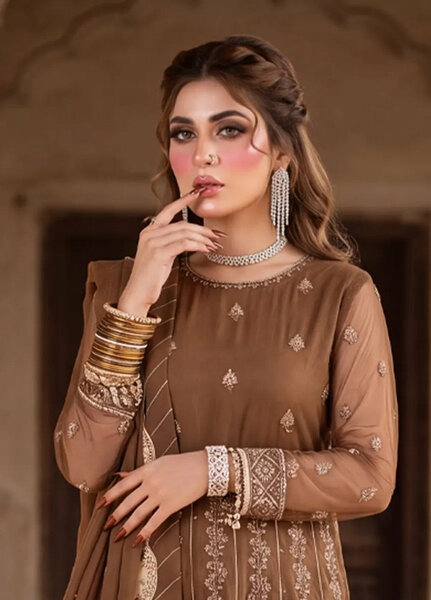 Salitex Unstitched Embroidered Net 3 Piece Suit SUNS8JI518 - Festive Collection