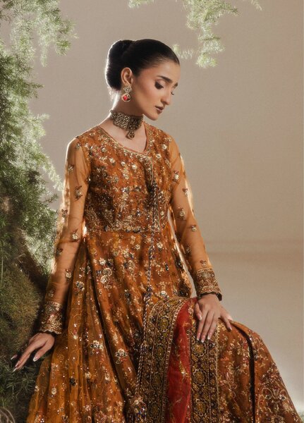Aik Shaam by AIK Atelier Unstitched Embroidered Net 3 Piece Suit AIK26UAS C2606 - Wedding Collection