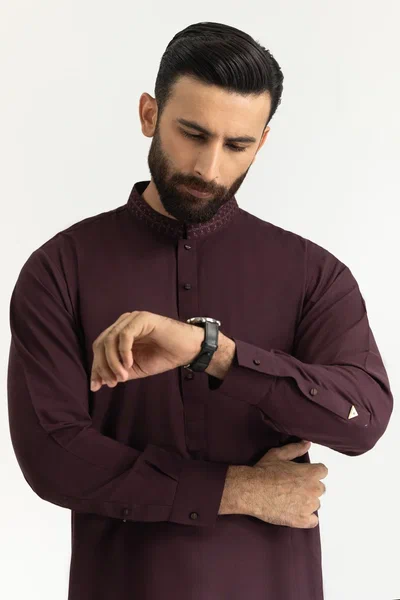 Regular Fit Embroidered Suits