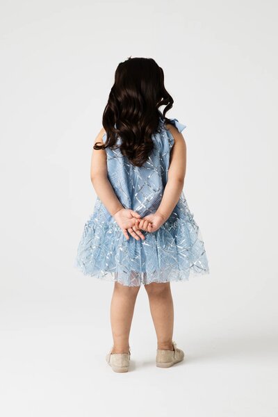 Shimmery Mist Bow Net Dress