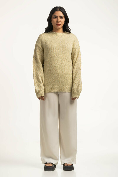 Women Sweater Regular Fit