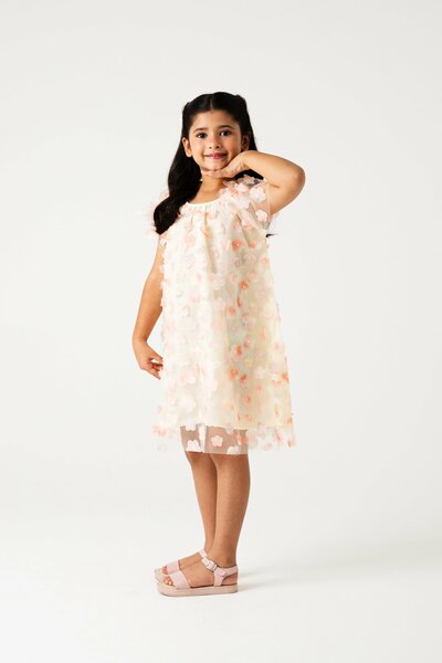 Blush Blossom Net Dress