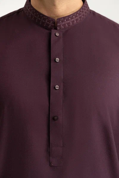 Regular Fit Embroidered Suits