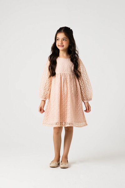 Peach Petal Yoke Net Dress
