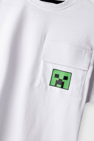 Boys Minecraft Drop Shoulder Tee