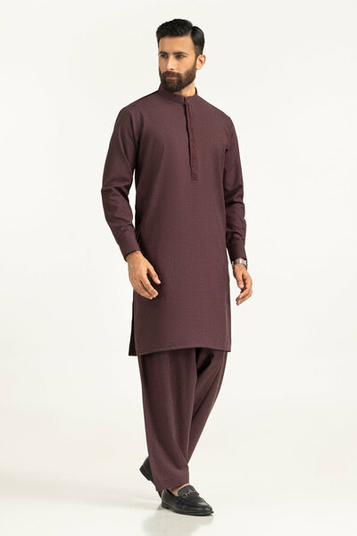Regular Fit Embroidered Suits