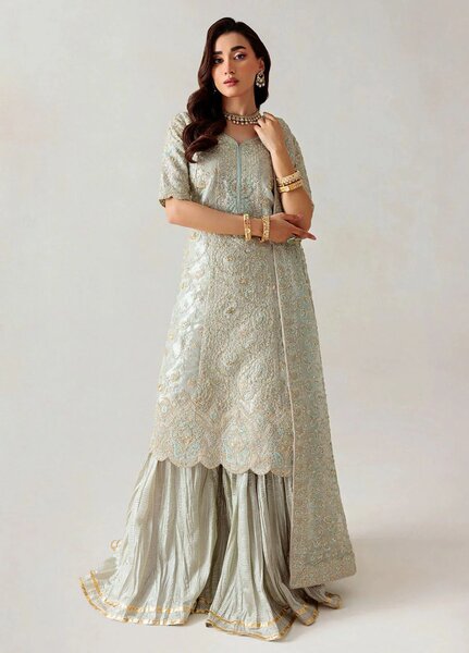 Aik Atelier Embroidered Tissue Suits Unstitched 3 Piece AIK25EF Vl1 D-03 - Formals Collection