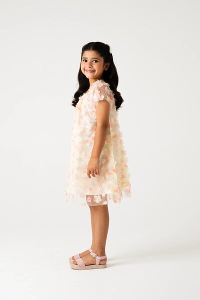 Blush Blossom Net Dress