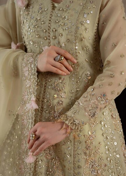 Ember by Aylin Unstitched Embroidered Organza  3 Piece Suit AY26UEW Reverie - Wedding Collection