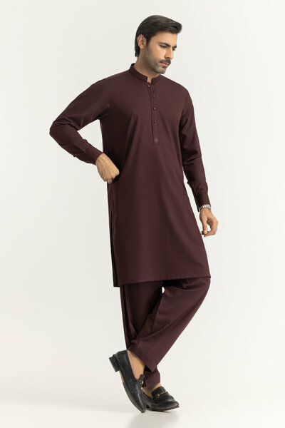 Regular Fit Embroidered Suits