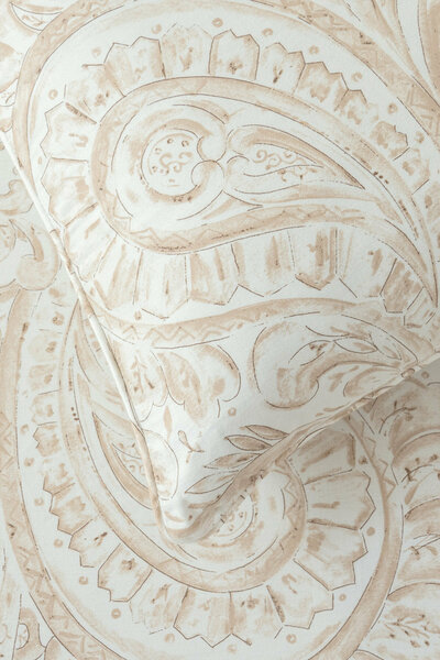Paisley Elegance  Bed Sheet Set