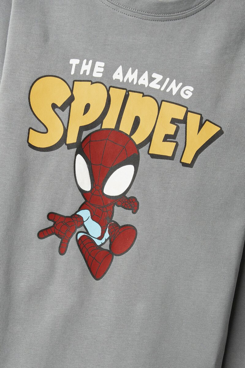 Boys Spidey Grey Hero Tee