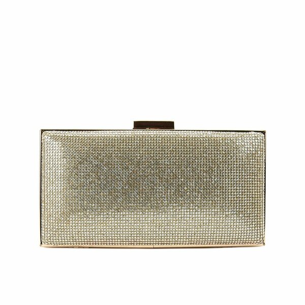 Women Clutch - 15497B
