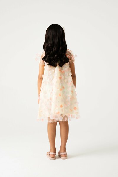 Blush Blossom Net Dress