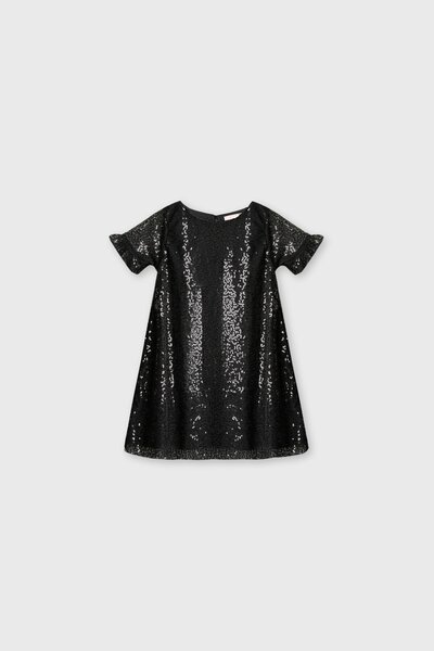 Black Sequin A-Line Dress