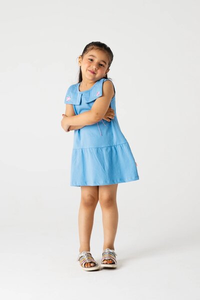 Sky Petal Collared Jersey Frock