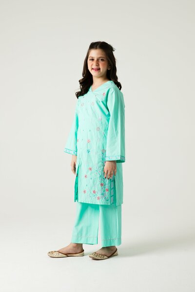 Light Green Delicate Embroidered Kurta Set - 2pc
