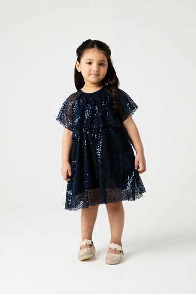 Midnight Sparkle Navy Net Dress
