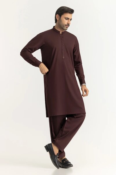 Regular Fit Embroidered Suits