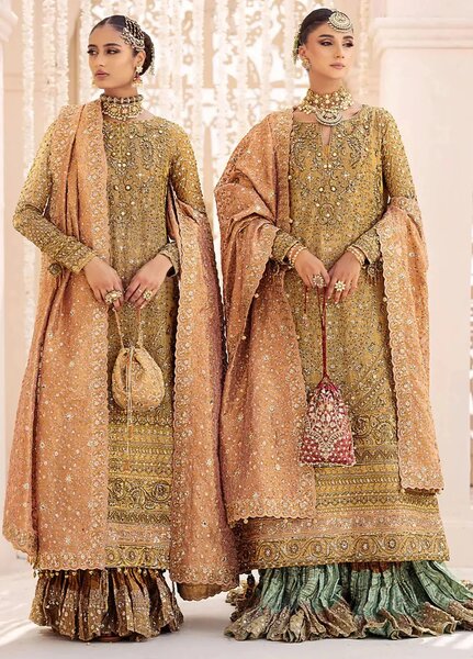 Aik Atelier Embroidered Organza Suits Unstitched 3 Piece AIK25EF Vl2 Look 02 - Formals Collection