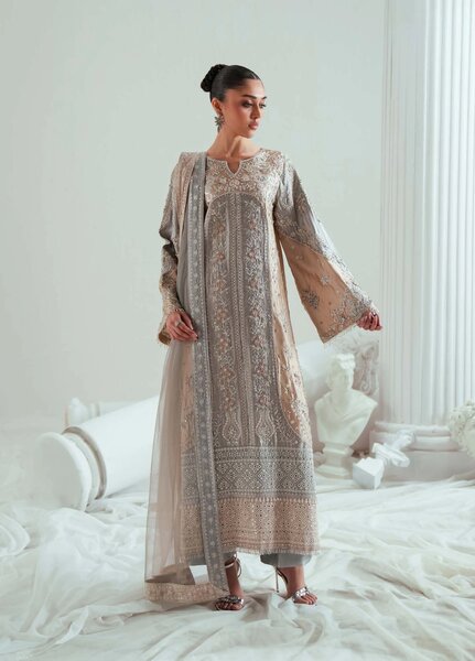 Elyse by Zariya Unstitched Embroidered Net 3 Piece Suit ZA26UEW Dovegray ZSU-6306 - Wedding Collection