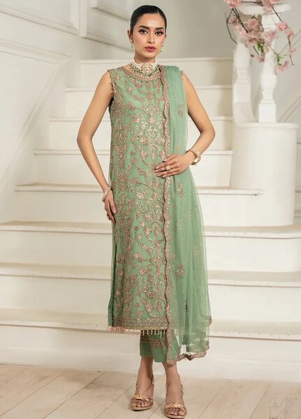 Nafees by Zarif Embroidered Net Suit Unstitched 3 Piece ZR25UF ZNAF-06 Asel - Formals Collection