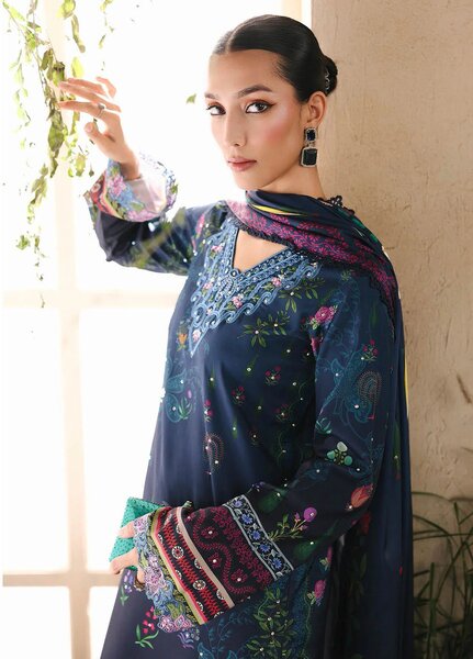 Silah by RajBari Embroidered Raw Silk Suits Unstitched 3 Piece RB25SE D-02 - Festive Collection