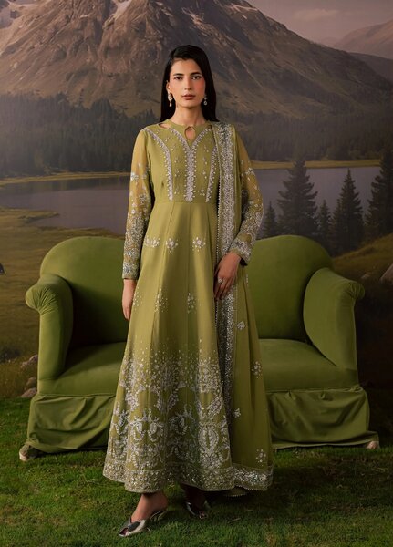 Divani by Daria Unstitched Embroidered Chiffon 4 Piece Suit DN26UD DA-119 2-GREEN - Festive Collection