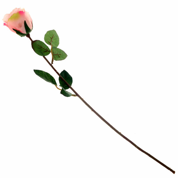 SINGE ECUADOR ROSE 1F 6LVS （V1R72).Unspecified...20622