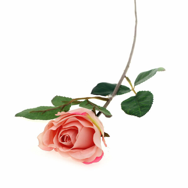 SINGE ECUADOR ROSE 1F 6LVS （V1R72).Unspecified...20622