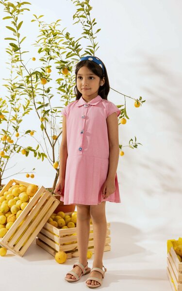 Serena | Cotton chambray dress with pleated flare and embroidered buttons