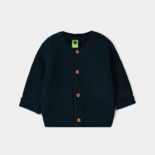 Infant Boys Acrylic Sweater Milk Club - Teal Blue