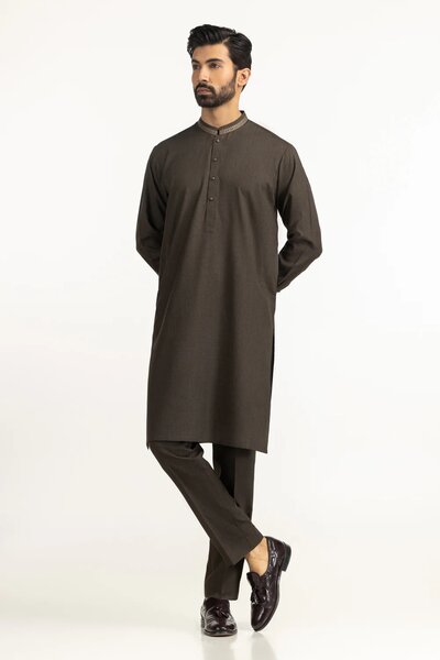Regular Fit Embroidered Suits