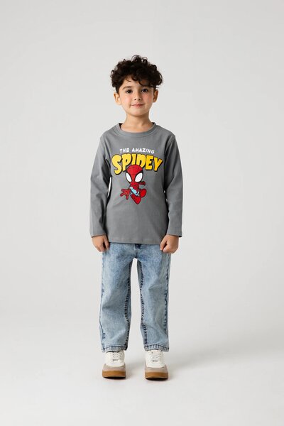 Boys Spidey Grey Hero Tee