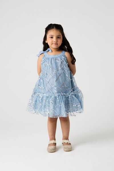 Shimmery Mist Bow Net Dress