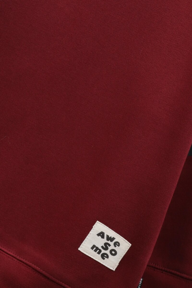 Boys Burgundy Bolt Fleece Sweatshirt