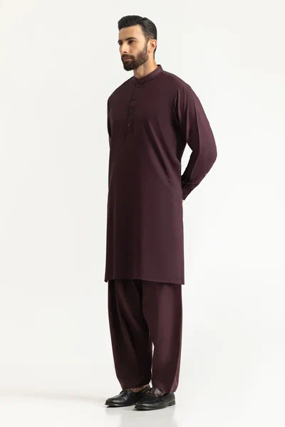 Regular Fit Embroidered Suits