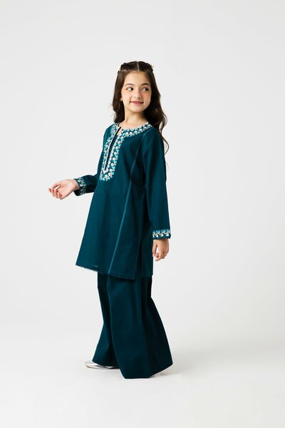 Zinc Grace Embroidered Khaddar Set - 2pc