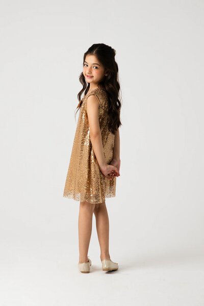 Golden Stardust Sequin Dress