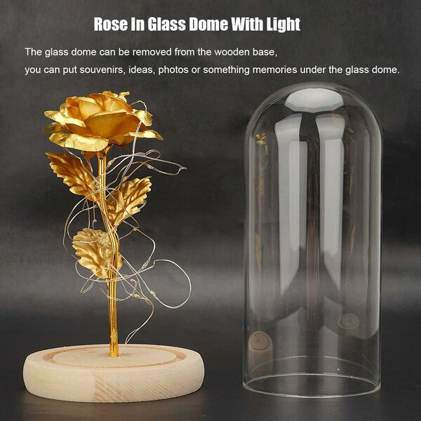 Home.co - LED Foil Rose Glass Dome - Gold