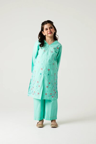 Light Green Delicate Embroidered Kurta Set - 2pc