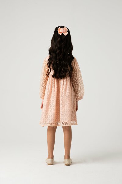 Peach Petal Yoke Net Dress