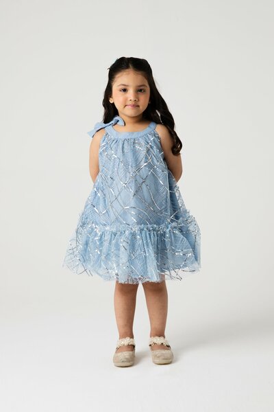 Shimmery Mist Bow Net Dress