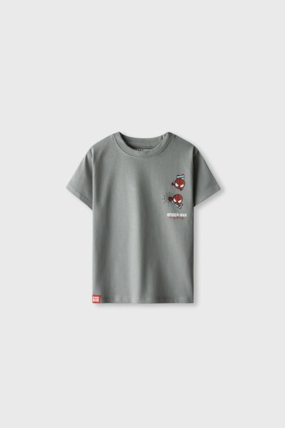 Boys Action Spider Grey Tee