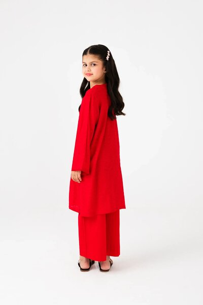 Red Chikankari Suit Set - 3pc