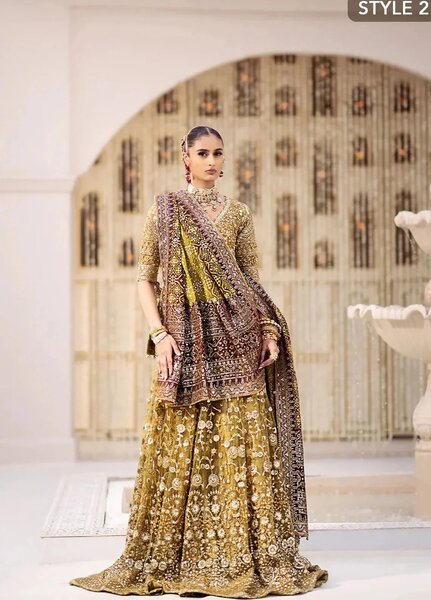 Aik Atelier Embroidered Net Suits Unstitched 3 Piece AIK25EF Vl2 Look 04 - Formals Collection