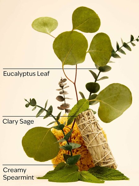 Bath & Body Works - Eucalyptus Spearmint Room Spray 42.5gm